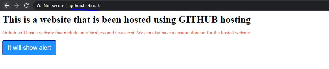 Github page with custom domain name